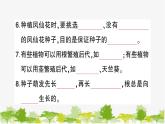 教科版(2017秋)科學(xué)四年級(jí)下冊(cè) 期末復(fù)習(xí)一 植物的生長變化習(xí)題課件