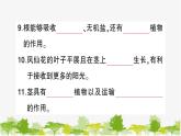 教科版(2017秋)科學(xué)四年級(jí)下冊(cè) 期末復(fù)習(xí)一 植物的生長變化習(xí)題課件