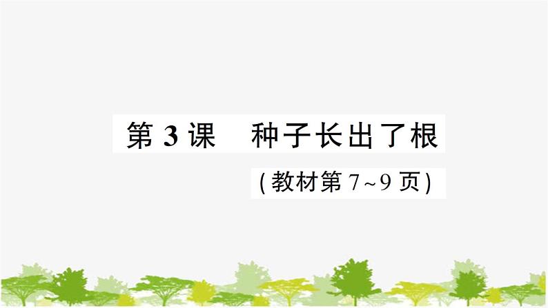 教科版(2017秋)科学四年级下册 第3课 种子长出了根习题课件01