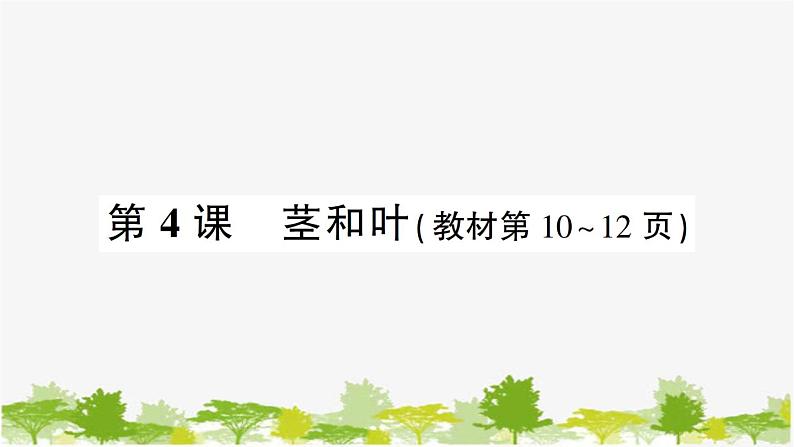 教科版(2017秋)科学四年级下册 第4课 茎和叶习题课件01