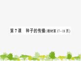 教科版(2017秋)科学四年级下册 第7课 种子的传播习题课件