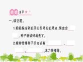 教科版(2017秋)科学四年级下册 第7课 种子的传播习题课件
