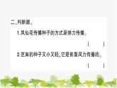 教科版(2017秋)科学四年级下册 第7课 种子的传播习题课件