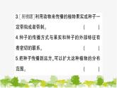 教科版(2017秋)科学四年级下册 第7课 种子的传播习题课件