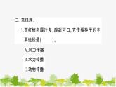 教科版(2017秋)科学四年级下册 第7课 种子的传播习题课件