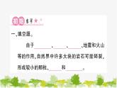教科版(2017秋)科学四年级下册 第5课 岩石、沙和黏土习题课件