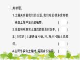 教科版(2017秋)科学四年级下册 第6课 观察土壤习题课件