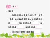 教科版(2017秋)科学四年级下册 第7课 比较不同的土壤习题课件