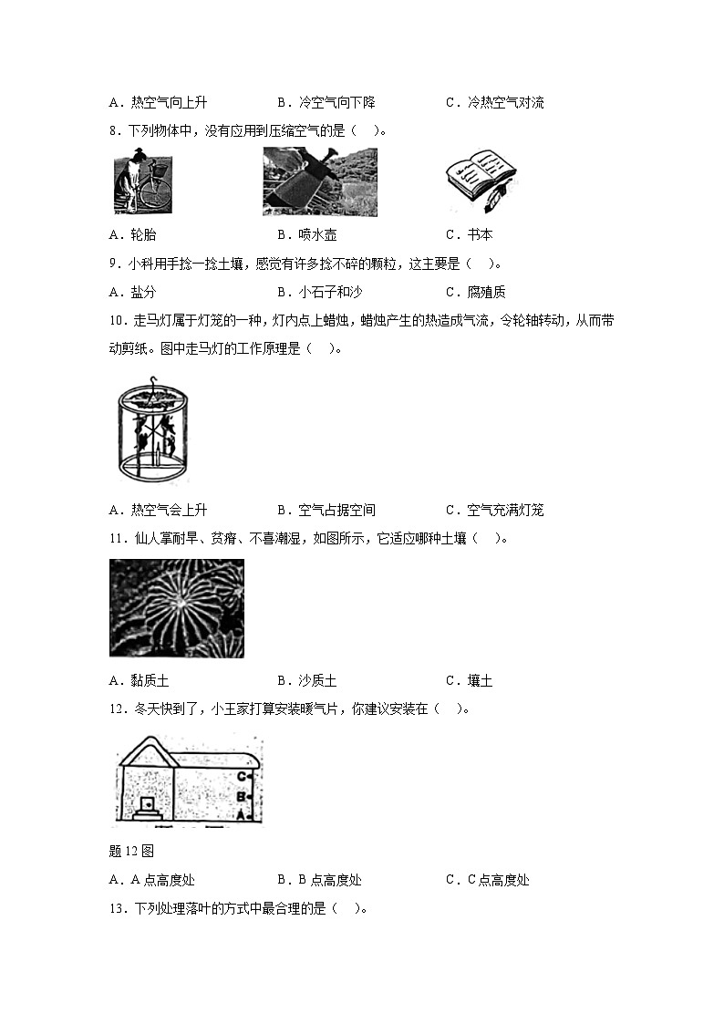 2023-2024学年广东省清远市英德市苏教版三年级上册期中考试科学试卷（含解析）02
