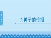 教科版（2017秋）科学四年级下册 1.7《种子的传播》课件