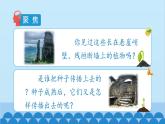 教科版（2017秋）科学四年级下册 1.7《种子的传播》课件