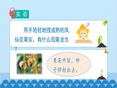 教科版（2017秋）科学四年级下册 1.7《种子的传播》课件