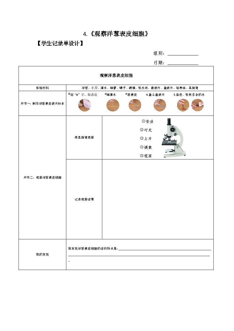 六年级上册课件4.观察洋葱表皮细胞实验记录单01