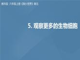 六年级上册课件5 观察更多的生物细胞