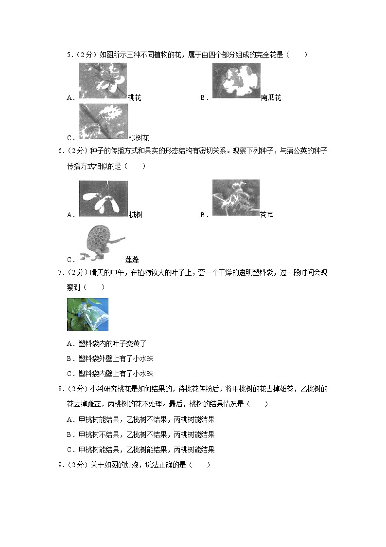 51，云南省昆明市西山区2022-2023学年四年级下学期期末科学试卷第2页