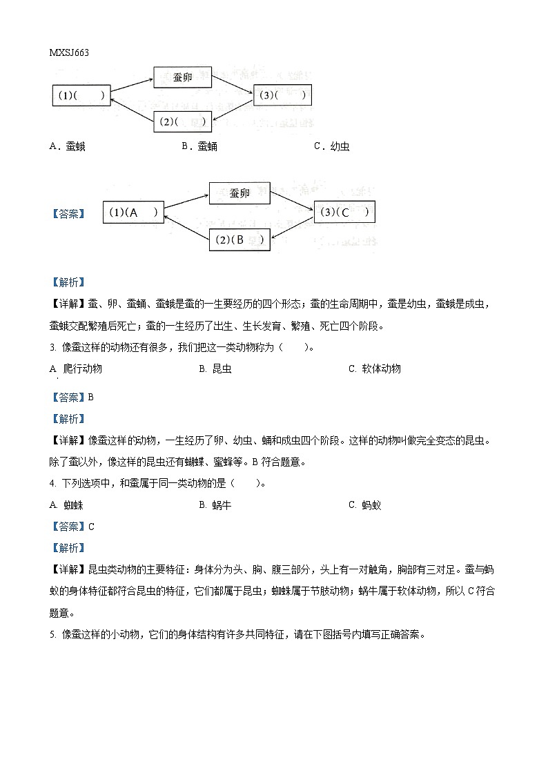 2022-2023学年山西省太原市杏花岭区五一路小学苏教版四年级下册期末考试科学试卷（解析版）第2页