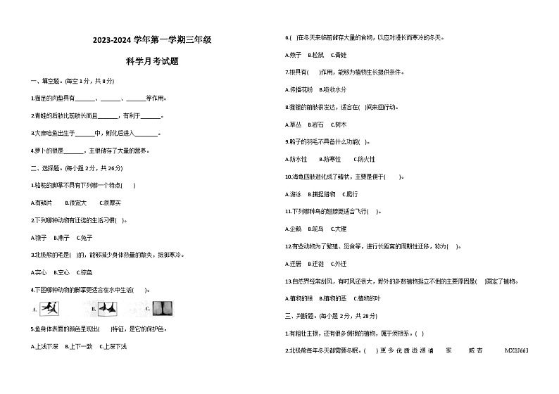 山东省德州市宁津县宁津县育新中学2023-2024学年三年级上学期10月月考科学试题01