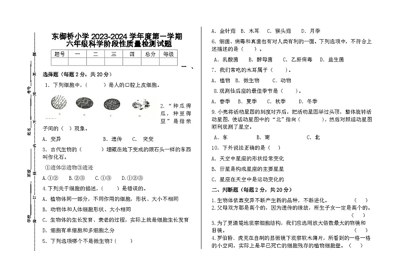 山东省济宁市兖州区东御桥小学2022-2023学年六年级上学期期中科学试题01