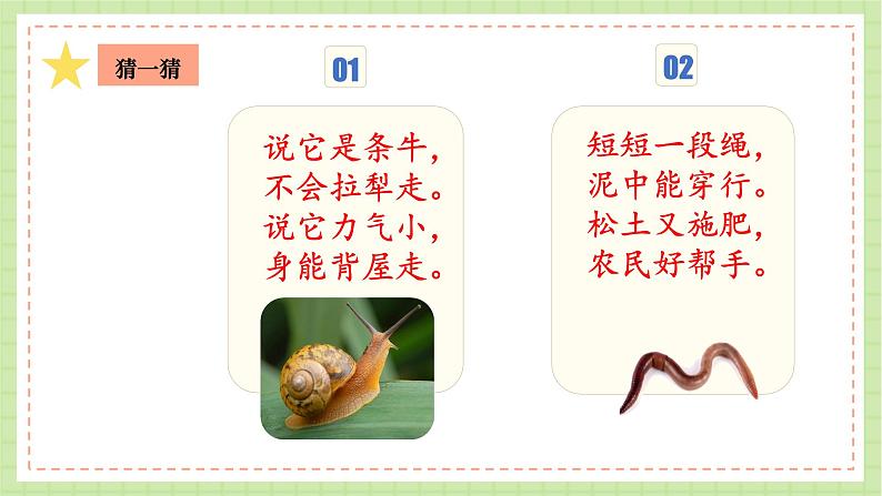 教科版科学一下 2.1 《我们知道的动物》课件第4页