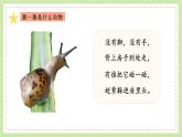 教科版科學一下 2.3 《觀察一種動物》課件+視頻