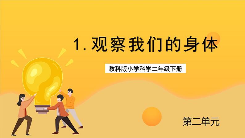 教科版科学二下 2.1《观察我们的身体》课件01