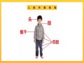 教科版科学二下 2.1《观察我们的身体》课件