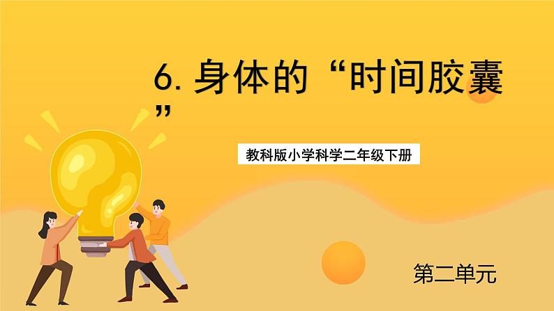 教科版科学二下 2.6《身体的“时间胶囊”》课件01