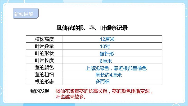 【新课标】2.6《根茎叶》课件第8页