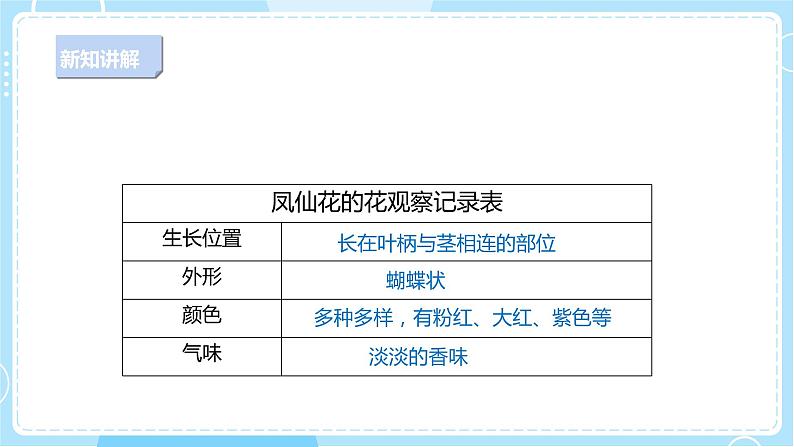 【人教鄂教版】三下科学  2.7《花果实种子》（课件+教案+同步练习）05