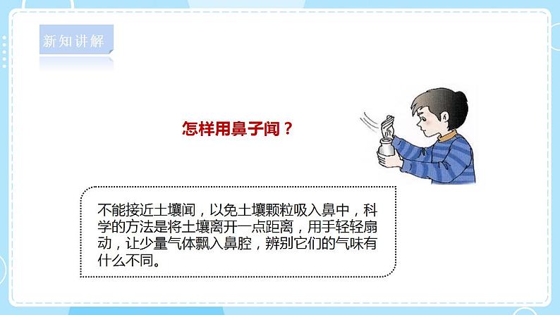 【人教鄂教版】三下科学  1.2《比较不同的土壤》（课件+教案+同步练习）06