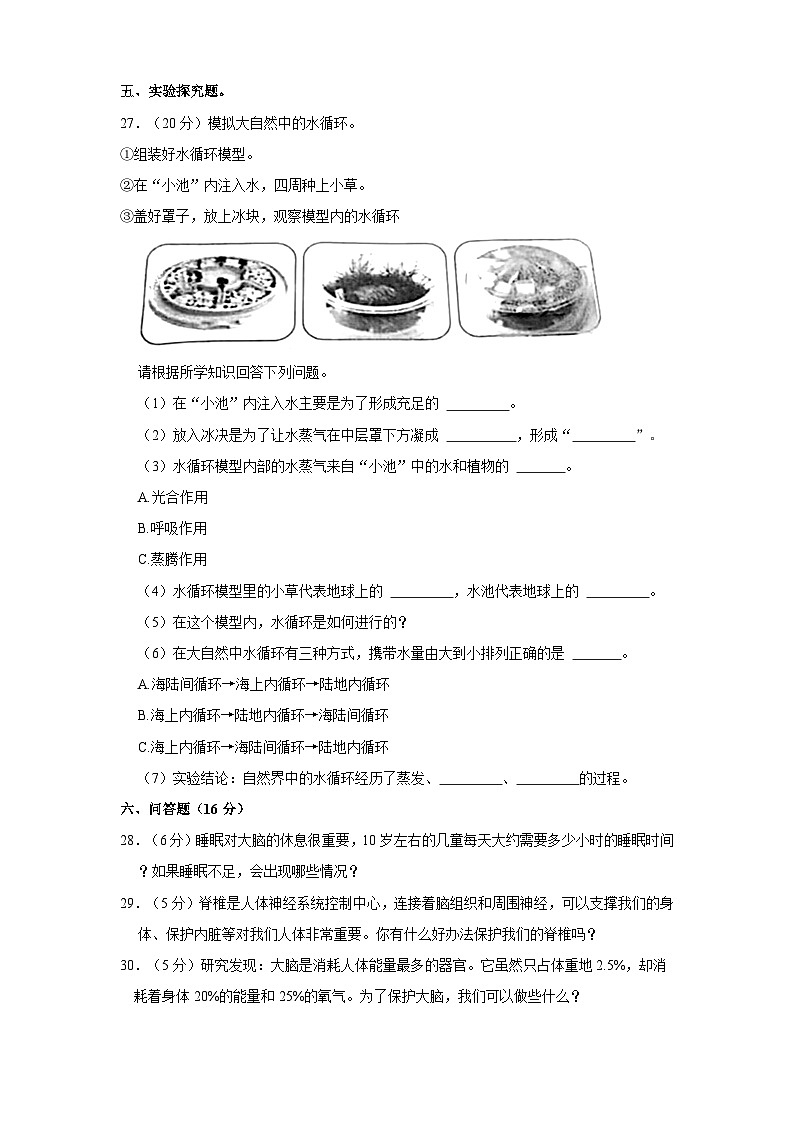 2023-2024学年辽宁省沈阳市法库县五年级上学期期中科学试卷（含答案解析）03