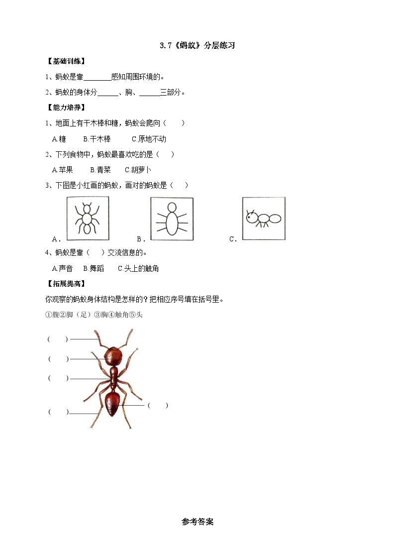 【人教鄂教版】二下科学  3.7《蚂蚁》课件+教案+练习01