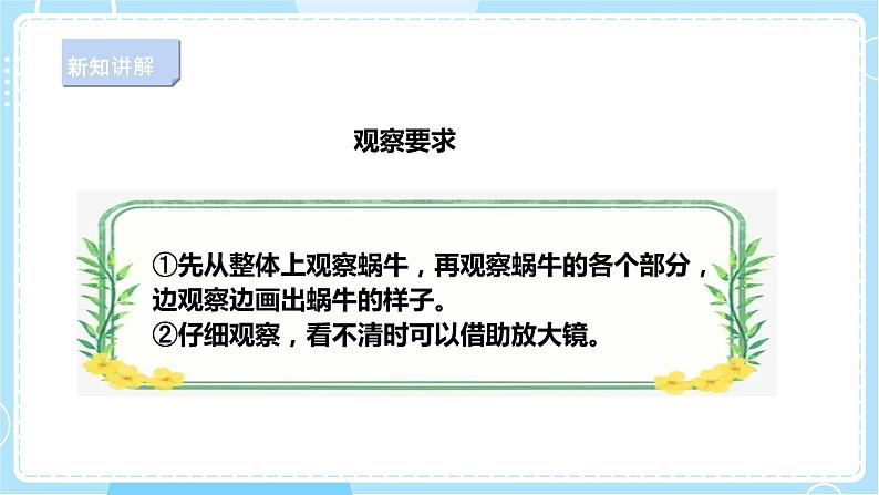 【人教鄂教版】二下科学  3.8《蜗牛》课件+教案+练习08