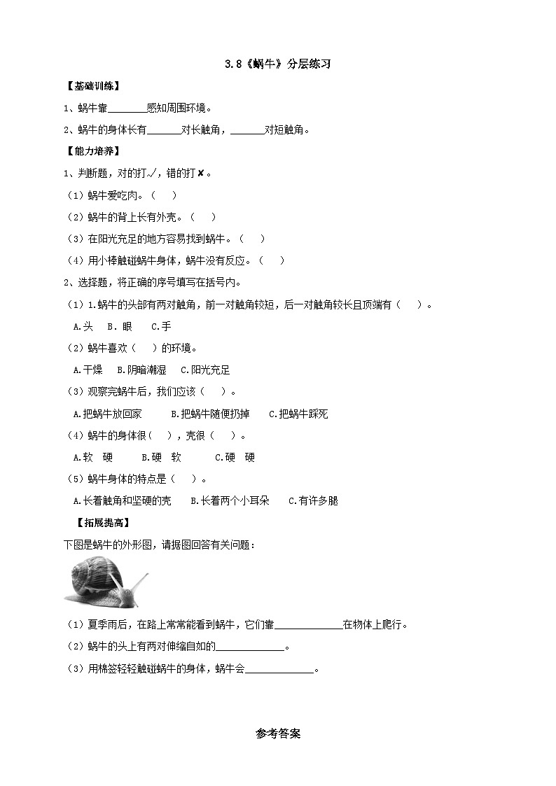 【人教鄂教版】二下科学  3.8《蜗牛》课件+教案+练习01