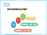 【人教鄂教版】一下科学  1.3《观察校园里的植物》课件+教案+练习