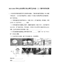 山东省枣庄市山亭区2023-2024学年五年级上学期期中科学试卷