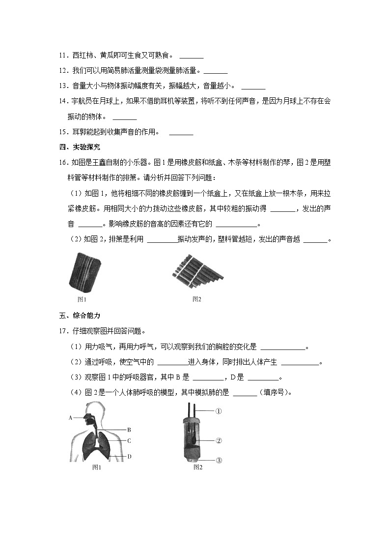 陕西省延安市富县2023-2024学年四年级上学期期中科学试卷02