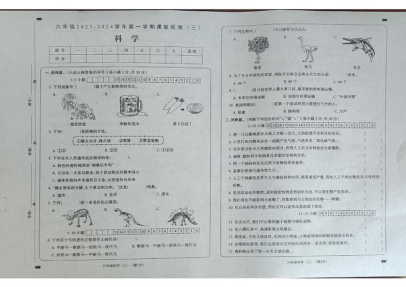 山西省大同市2023-2024学年六年级上学期课堂观测三（第二次月考）科学试卷01
