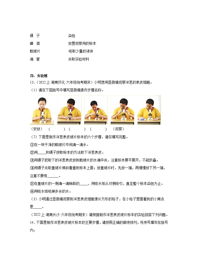 第一单元+微小世界-2023-2024学年六年级科学上册期末备考真题分类汇编（湖南地区专版）第2页