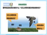 【蘇教版】六下科學(xué)  2.6 有趣的食物鏈（課件+教案+同步練習(xí)+素材）