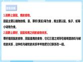 【蘇教版】六下科學(xué)  2.6 有趣的食物鏈（課件+教案+同步練習(xí)+素材）