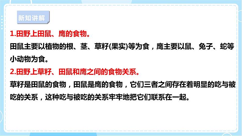 【苏教版】六下科学  2.6 有趣的食物链（课件+教案+同步练习+素材）05