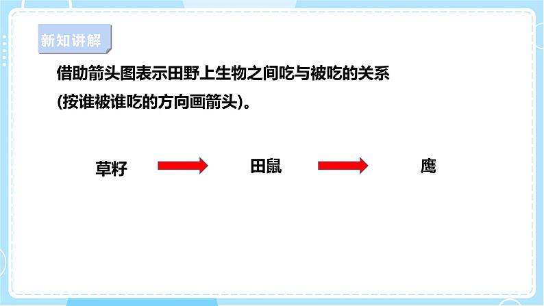 【苏教版】六下科学  2.6 有趣的食物链（课件+教案+同步练习+素材）06