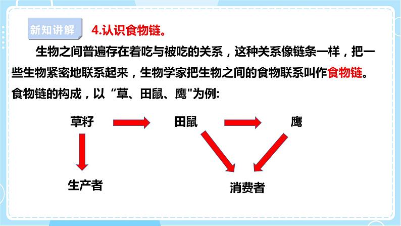 【苏教版】六下科学  2.6 有趣的食物链（课件+教案+同步练习+素材）08