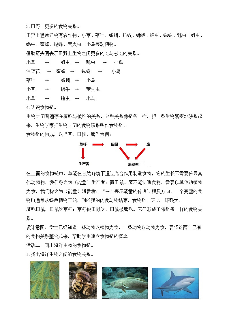 【苏教版】六下科学  2.6 有趣的食物链（课件+教案+同步练习+素材）02