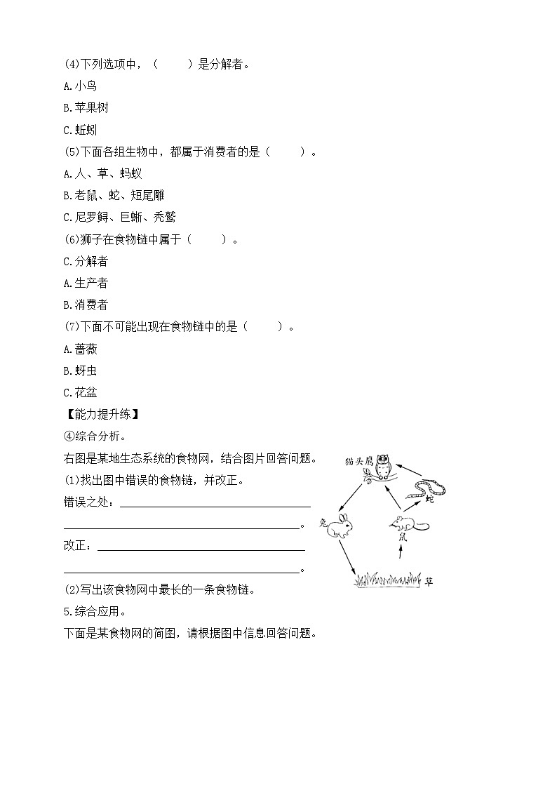 【苏教版】六下科学  2.6 有趣的食物链（课件+教案+同步练习+素材）02