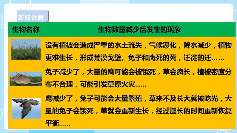 【苏教版】六下科学  2.7 做个生态瓶（课件+教案+同步练习+素材）06