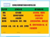 【苏教版】六下科学  4.13 洁净的水域（课件+教案+同步练习+素材）
