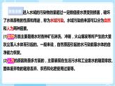 【苏教版】六下科学  4.13 洁净的水域（课件+教案+同步练习+素材）
