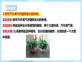 【蘇教版】六下科學(xué)  4.14 清新的空氣（課件+教案+同步練習(xí)+素材）